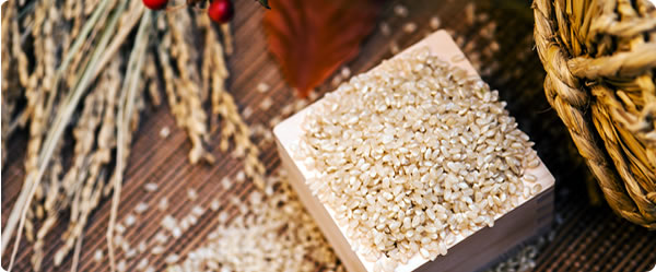 ジャパンファームのお米